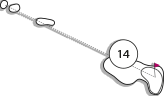Parcours trou 14