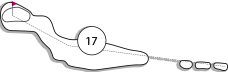 Parcours trou 17